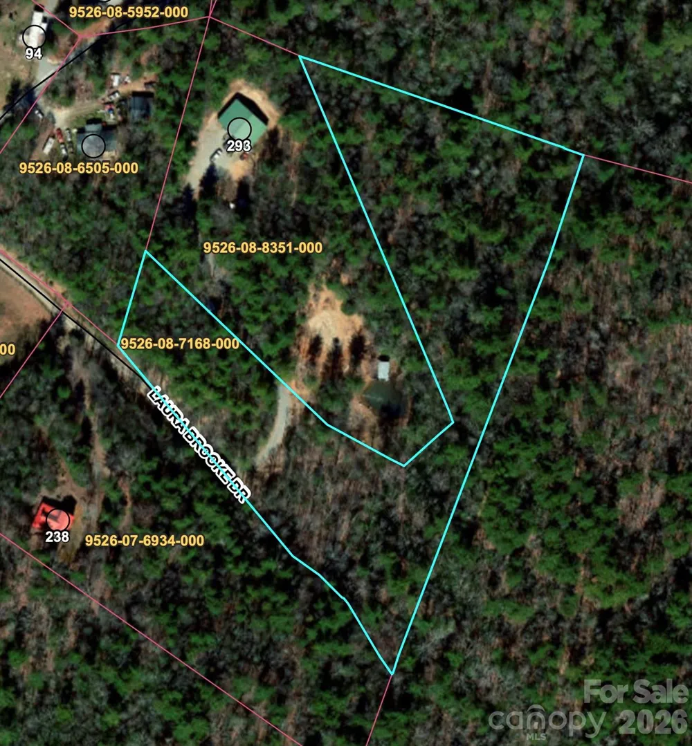 99999 Laura Brooke Drive Penrose, NC 28766