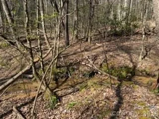 99999 Laura Brooke Drive Penrose, NC 28766