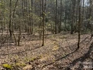 99999 Laura Brooke Drive Penrose, NC 28766