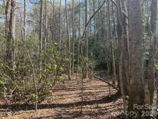 99999 Laura Brooke Drive Penrose, NC 28766