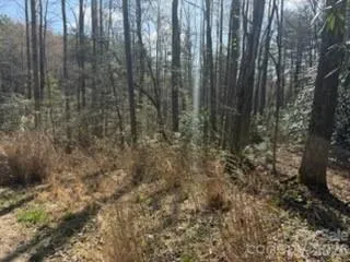 99999 Laura Brooke Drive Penrose, NC 28766