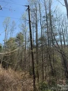 99999 Laura Brooke Drive Penrose, NC 28766