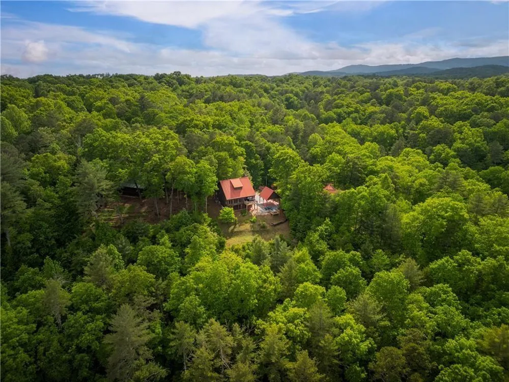 170 Wildwood Court Ellijay, GA 30540