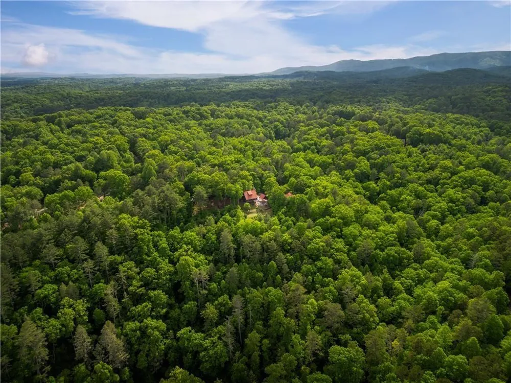 170 Wildwood Court Ellijay, GA 30540