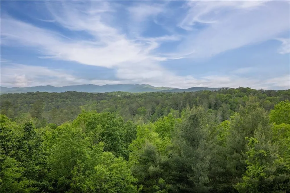 170 Wildwood Court Ellijay, GA 30540