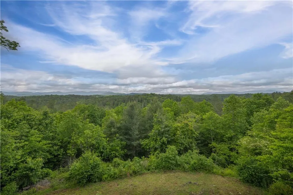 170 Wildwood Court Ellijay, GA 30540