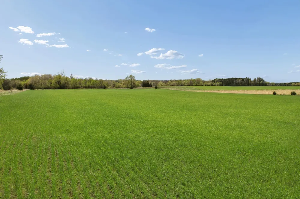 PART NW1/4 of SW1/4 ACRES located in Section 23 Jordan, MN 55352