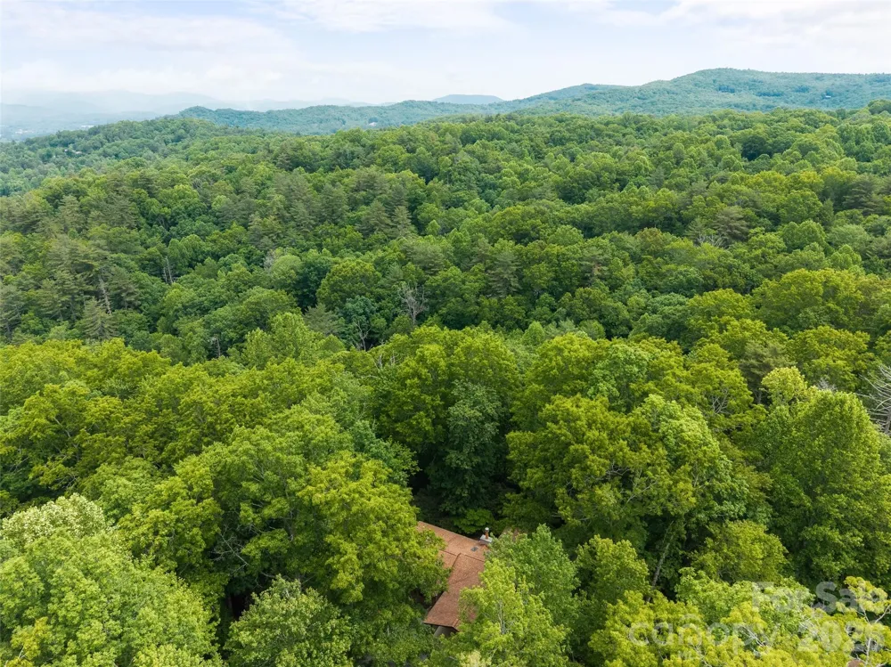 32 Honeysuckle Ridge Road Pisgah Forest, NC 28768