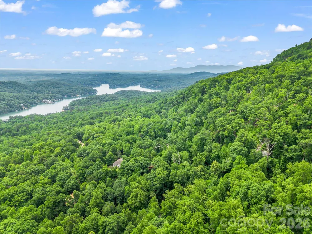 122 Raptor Court Lake Lure, NC 28746