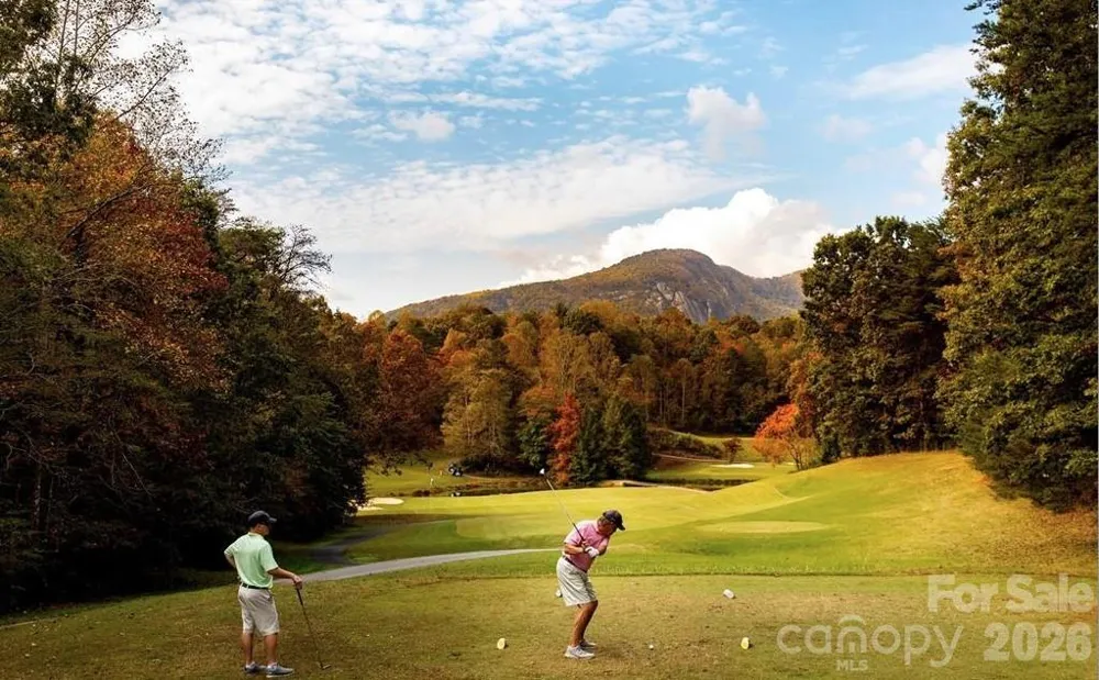 122 Raptor Court Lake Lure, NC 28746