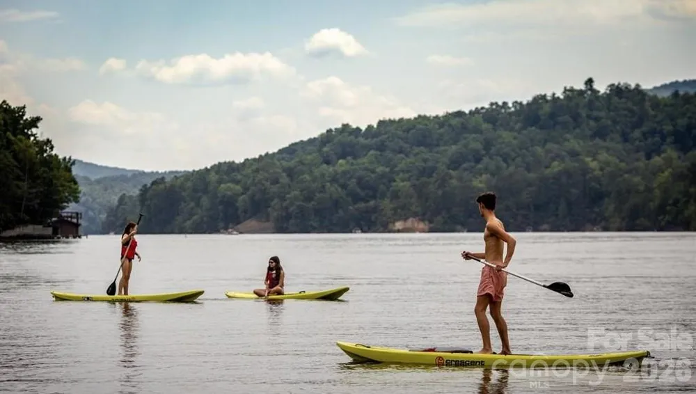 122 Raptor Court Lake Lure, NC 28746