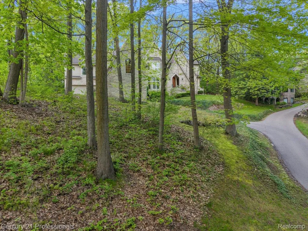 6705 College Park Drive Springfield Charter Township, MI 48346