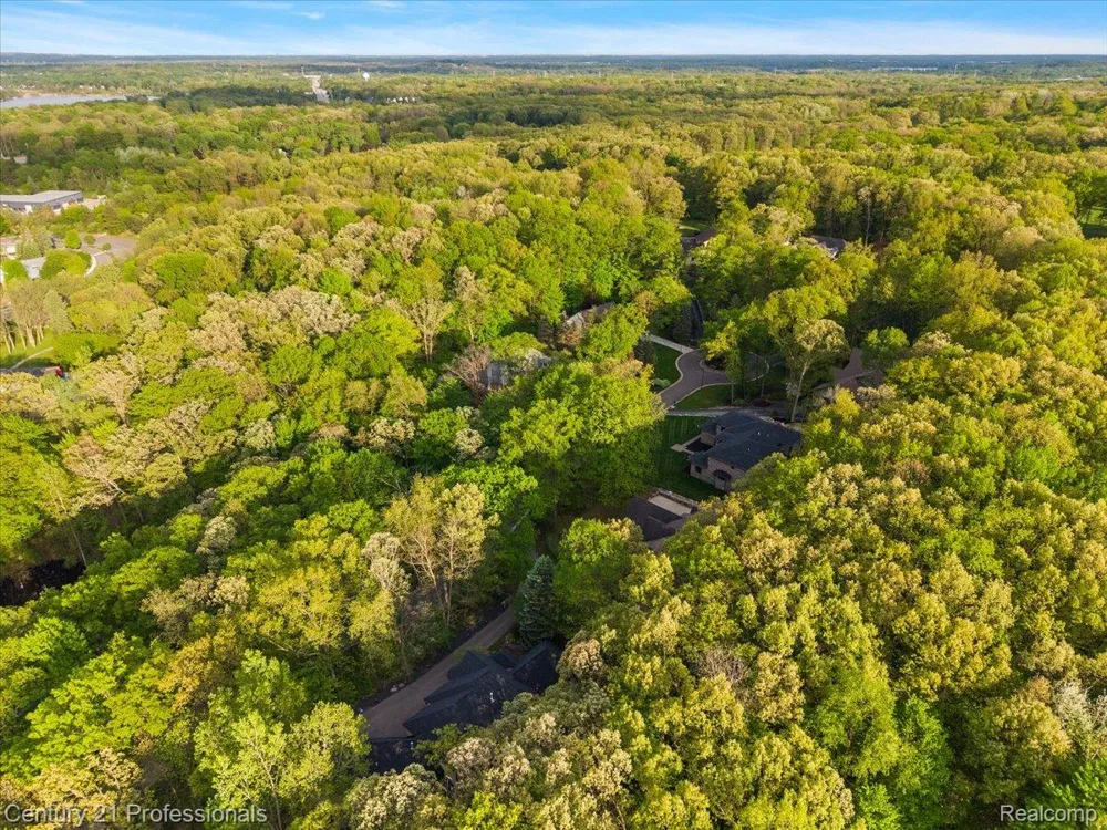 6705 College Park Drive Springfield Charter Township, MI 48346