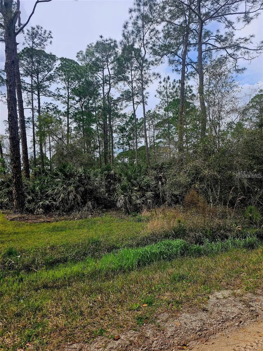 EAST PARKWAY Deland, FL 32724