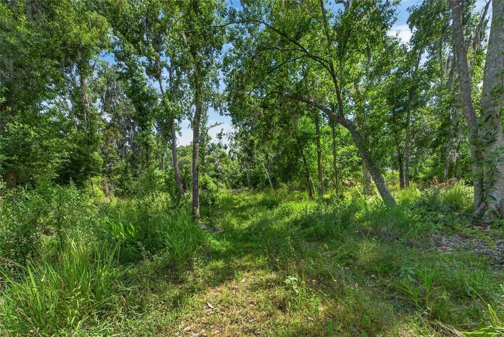 672 HIGHWAY Lithia, FL 33547
