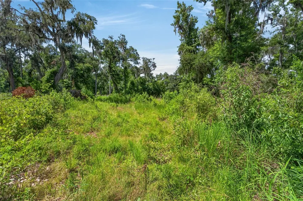 672 HIGHWAY Lithia, FL 33547