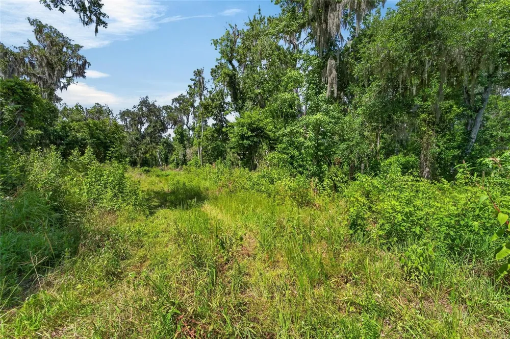 672 HIGHWAY Lithia, FL 33547
