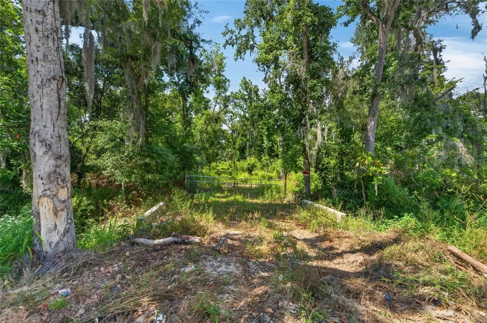 672 HIGHWAY Lithia, FL 33547
