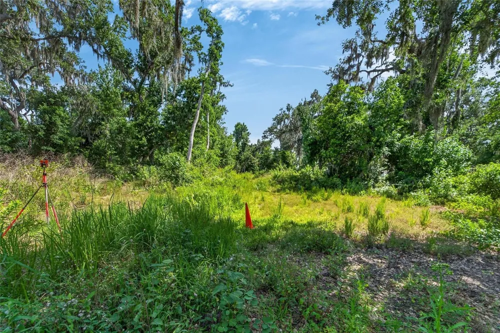 672 HIGHWAY Lithia, FL 33547