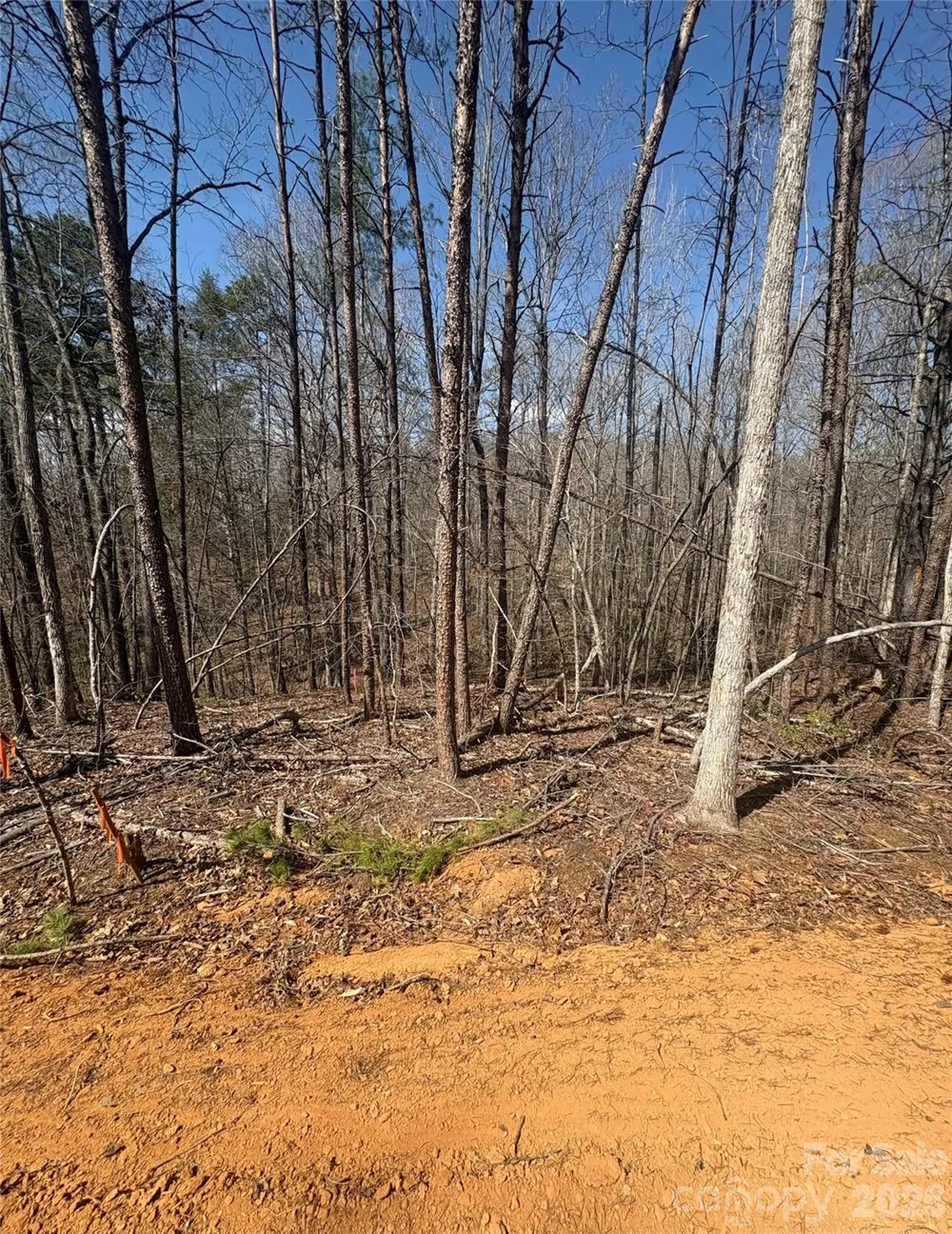 5310 Avenida De Oro Road #3.1 Morganton, NC 28655