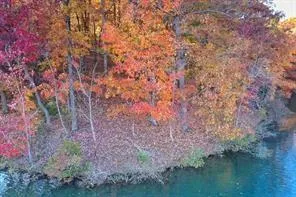 1048 Thrasher Way Big Canoe, GA 30143