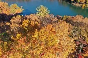 1048 Thrasher Way Big Canoe, GA 30143