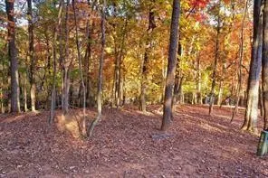 1048 Thrasher Way Big Canoe, GA 30143