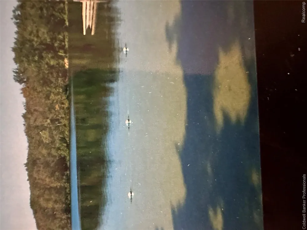 1190 Olander Drive Elba Township, MI 48446