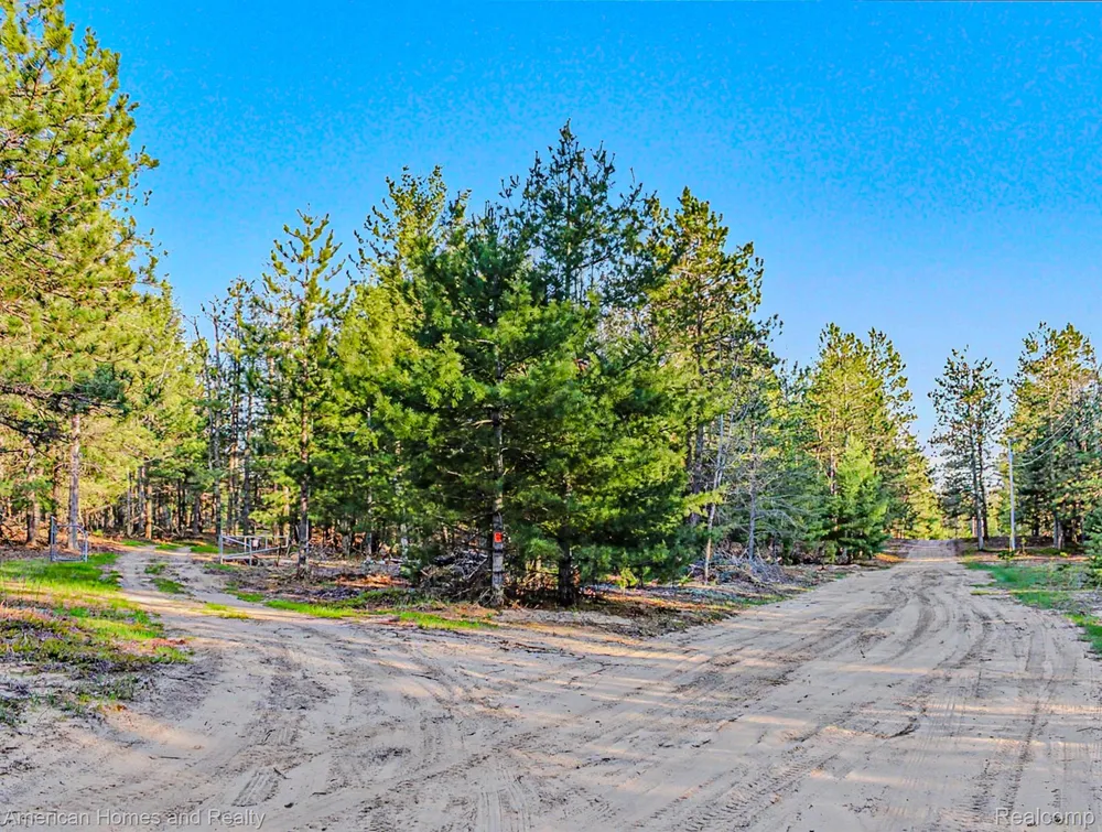 6691 Boone Lane Corwith Township, MI 49795