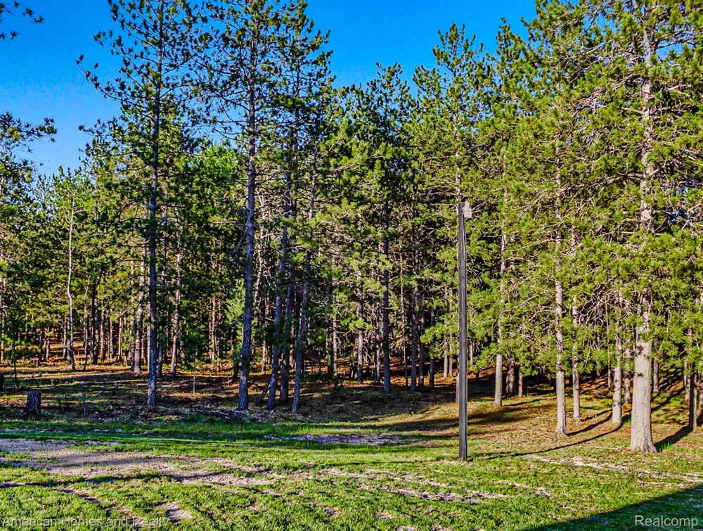 6691 Boone Lane Corwith Township, MI 49795