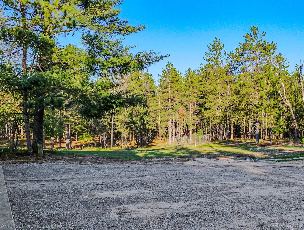 6691 Boone Lane Corwith Township, MI 49795