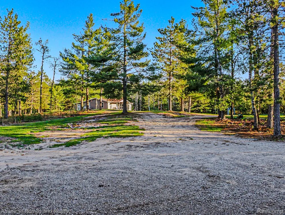 6691 Boone Lane Corwith Township, MI 49795