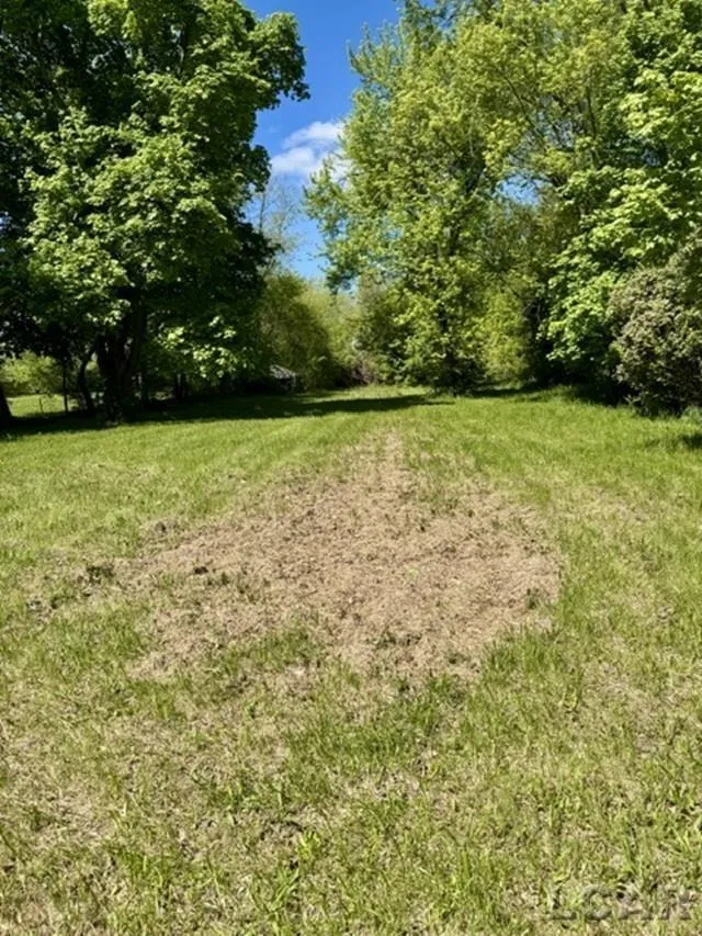 4856 Deleon Drive Raisin Township, MI 49286