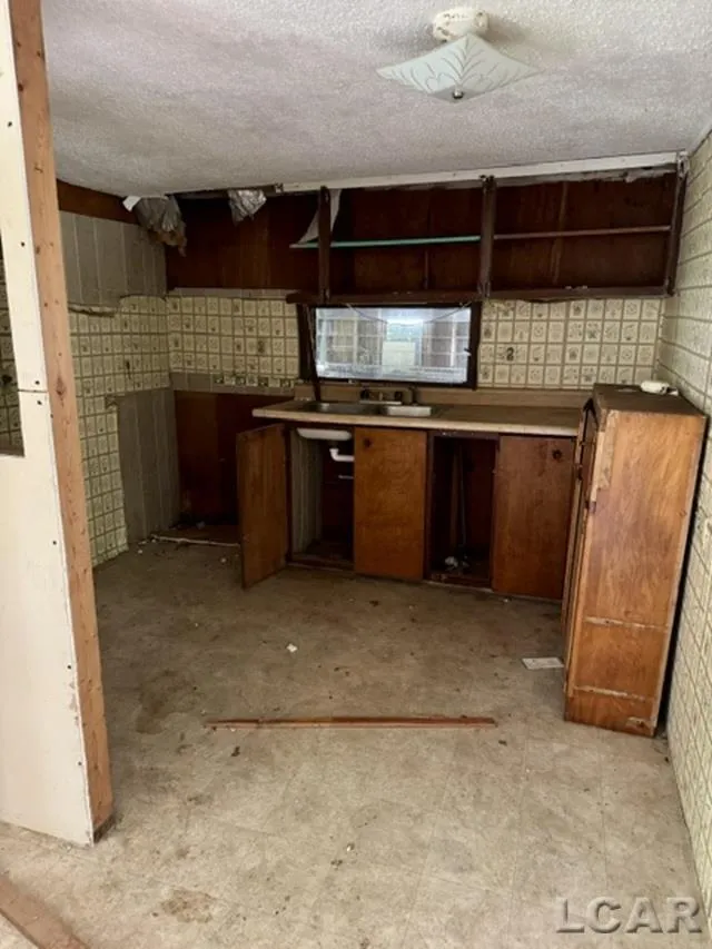 4856 Deleon Drive Raisin Township, MI 49286