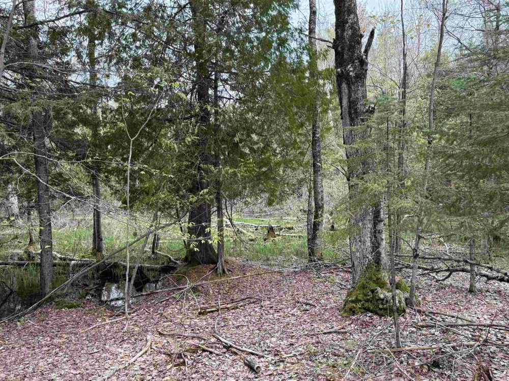 6473 Jeffrey Place Green Lake Township, MI 49637