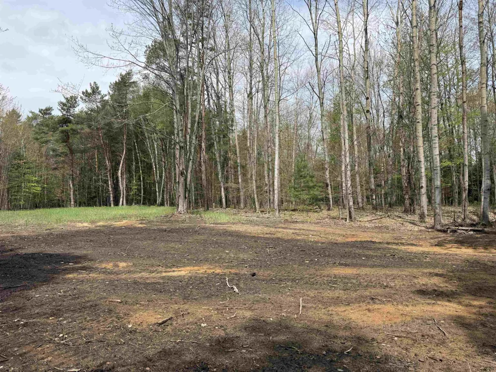 6473 Jeffrey Place Green Lake Township, MI 49637