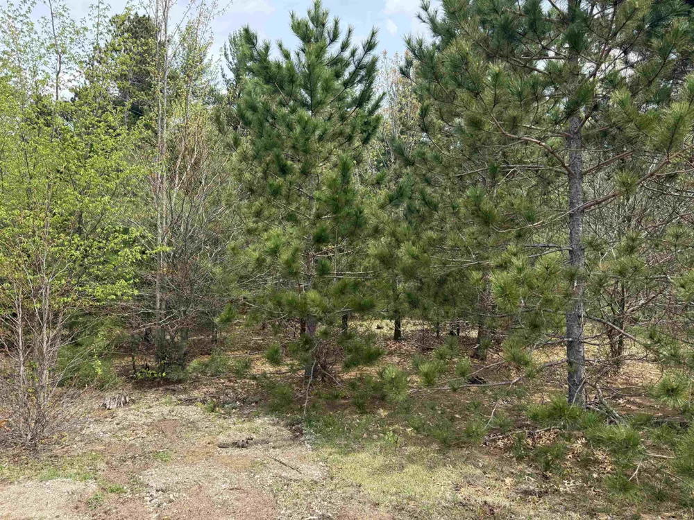 6473 Jeffrey Place Green Lake Township, MI 49637