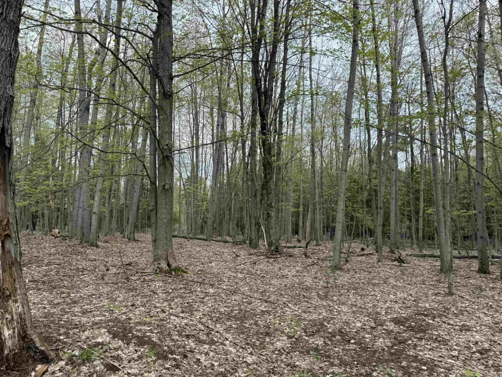 6473 Jeffrey Place Green Lake Township, MI 49637