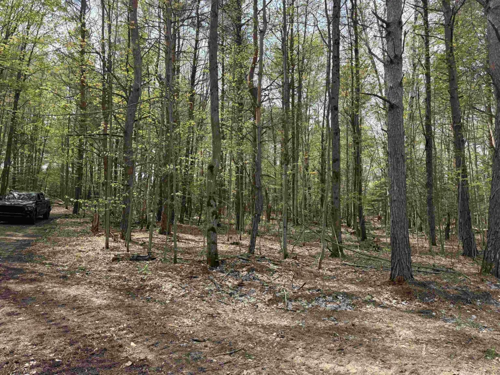 6473 Jeffrey Place Green Lake Township, MI 49637