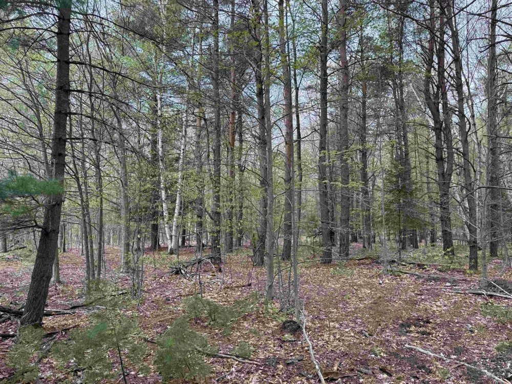 6473 Jeffrey Place Green Lake Township, MI 49637