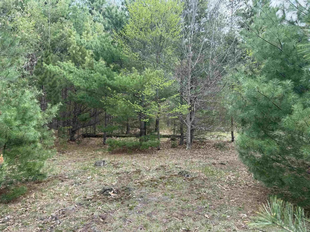 6473 Jeffrey Place Green Lake Township, MI 49637