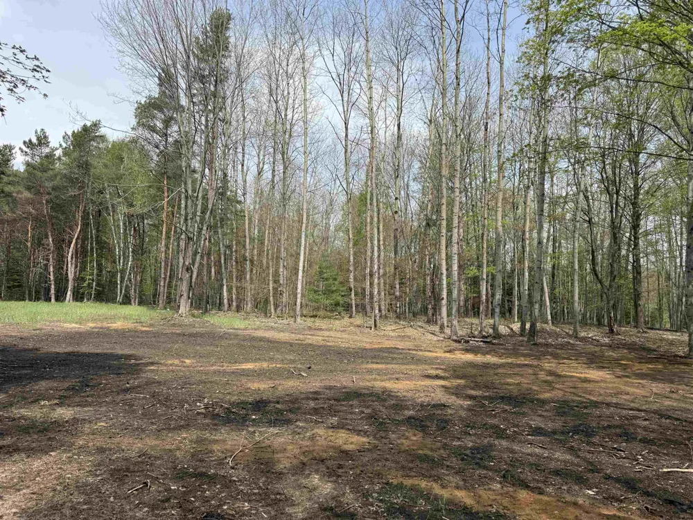 6473 Jeffrey Place Green Lake Township, MI 49637