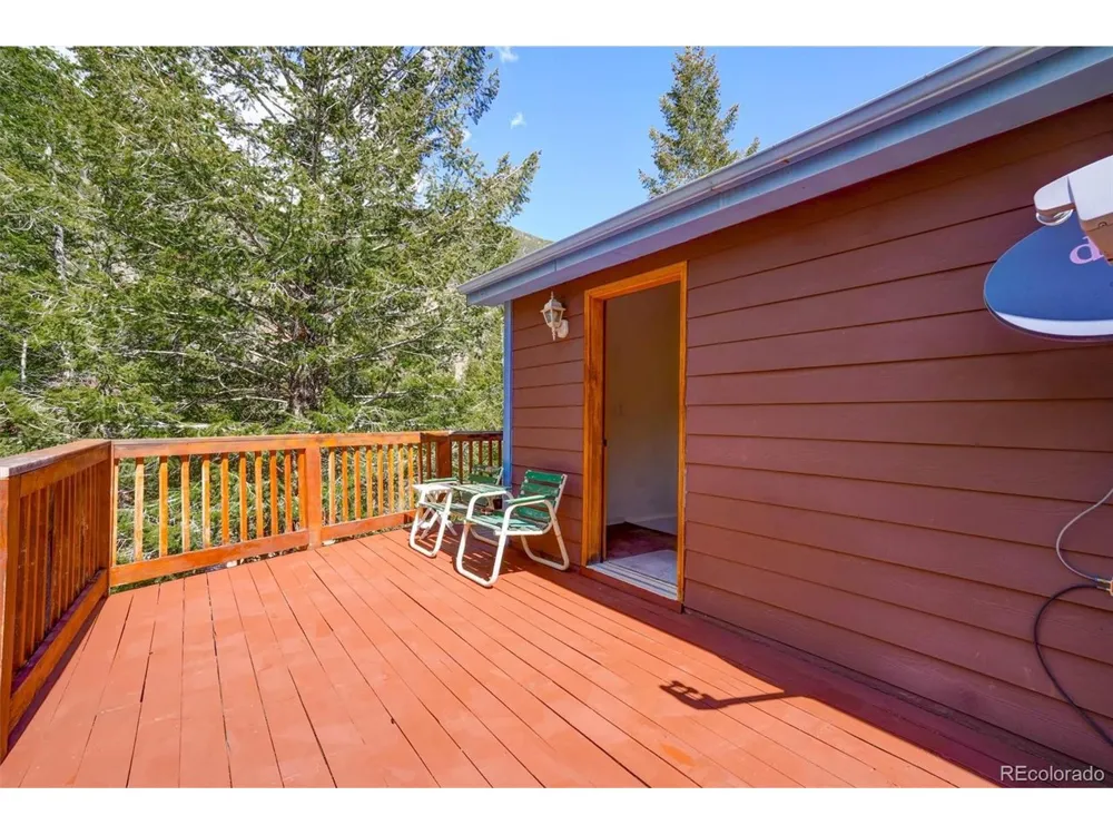 1206 Biddle Street Georgetown, CO 80444