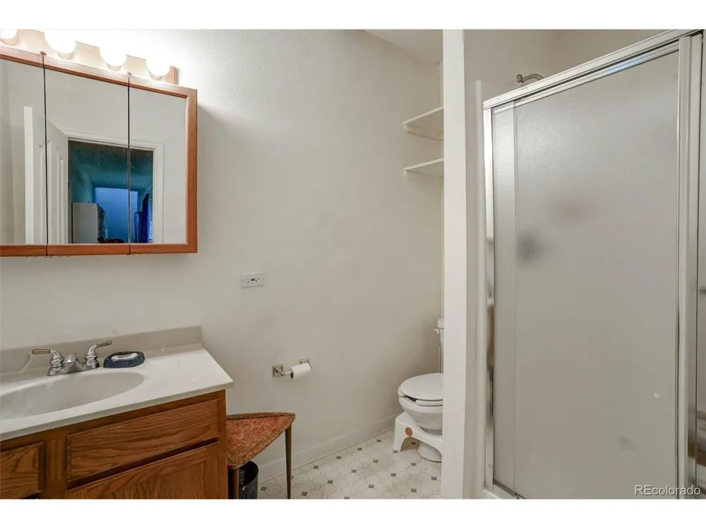 1206 Biddle Street Georgetown, CO 80444