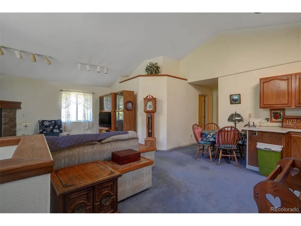 1206 Biddle Street Georgetown, CO 80444