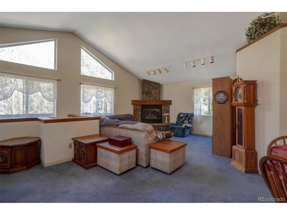 1206 Biddle Street Georgetown, CO 80444