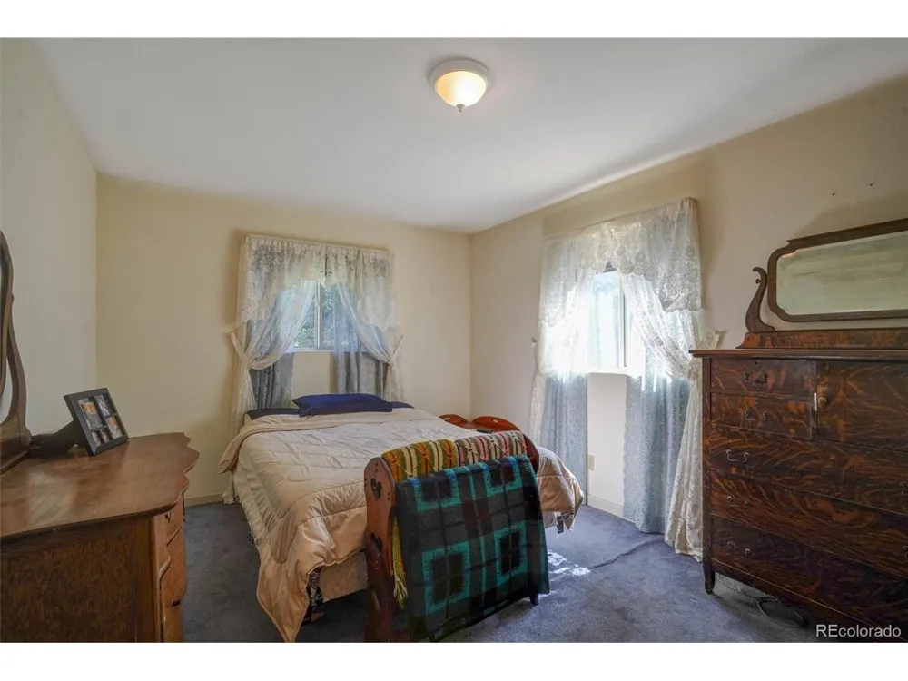 1206 Biddle Street Georgetown, CO 80444