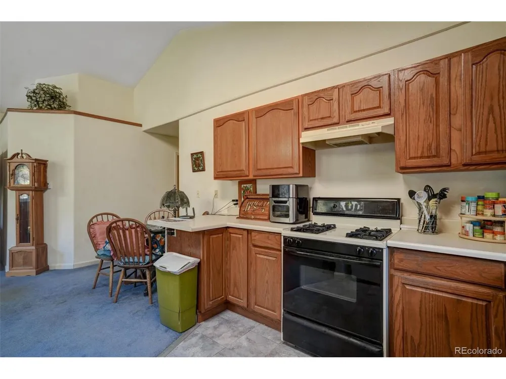 1206 Biddle Street Georgetown, CO 80444
