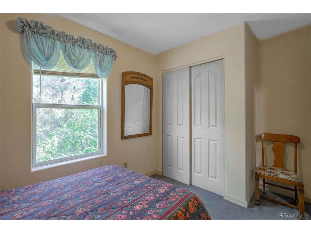 1206 Biddle Street Georgetown, CO 80444