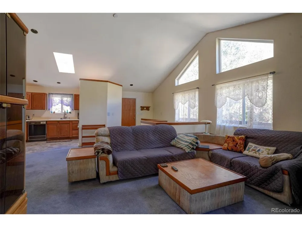 1206 Biddle Street Georgetown, CO 80444